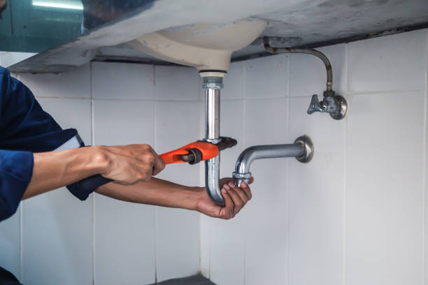 Best Plumbing Inspection Services  in Leupp, AZ